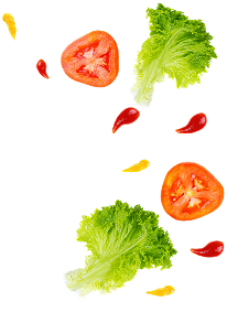Lettuce, tomato, and peppers on black background.